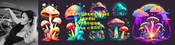 PSILOCYBIN Белокуриха