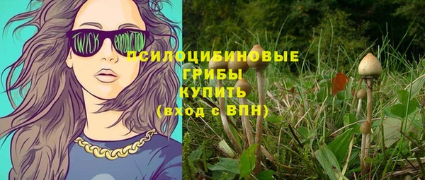 дживик Беломорск