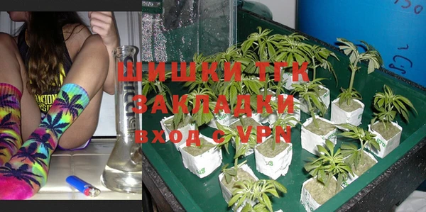 PSILOCYBIN Белокуриха