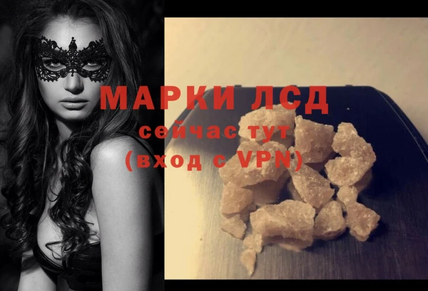 PSILOCYBIN Белокуриха